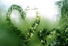 猛龙新援表现出色，球队士气大增