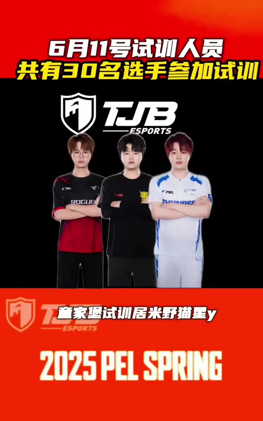 B体育-Knight：参加EWC的目标就是碾碎别人的牌子的简单介绍
