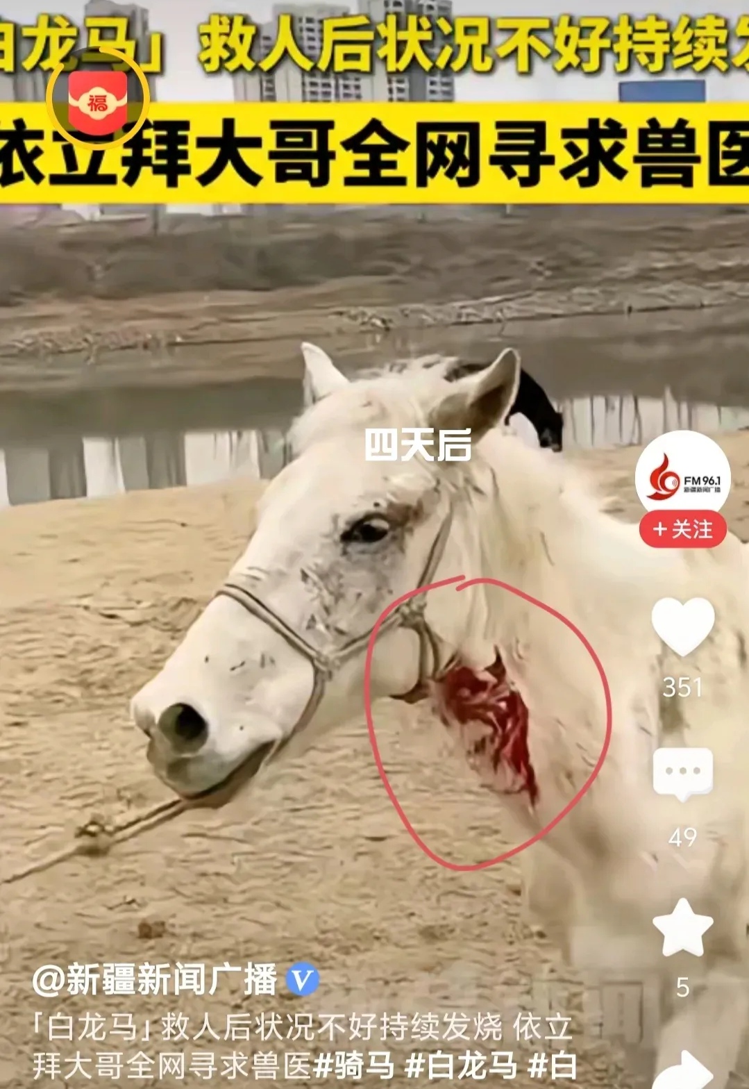 YuYu6把0杀，白龙马6把1杀，这种货色还留着配种啊？我上我也行！的简单介绍