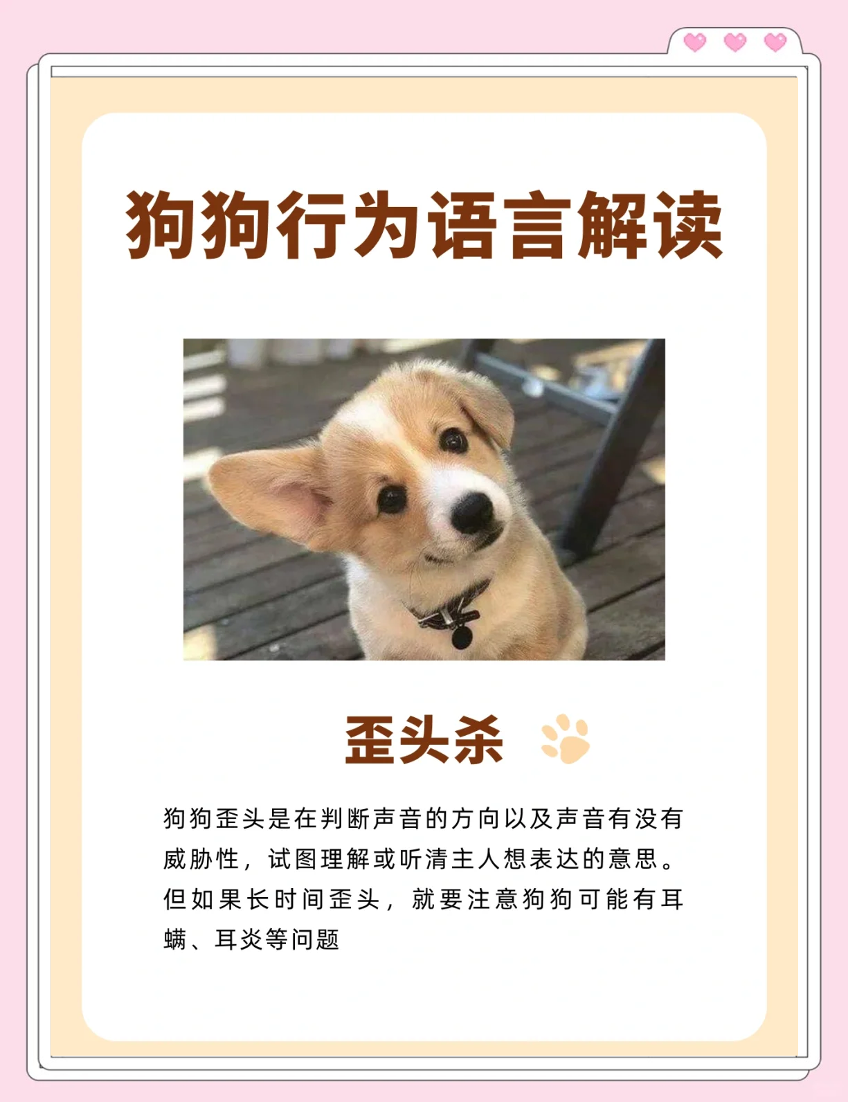 子宇被打脸？韩旭：不要被影响情绪和心态很多人会对她做小动作(躁郁症发作大吼大叫太可怕)